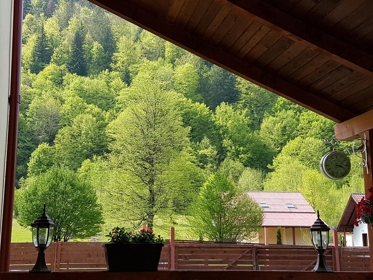 Vila Carmen Cazaci Zewnętrze zdjęcie